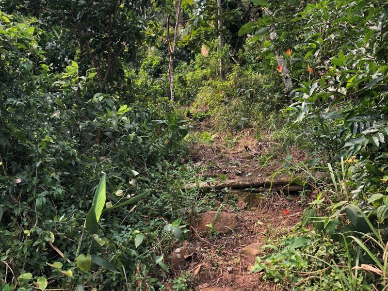 Terreno à venda Costeira do Pirajubaé com 12000m² e 1 quarto por R$ 300.000 - 1796137471-img-20210827-wa0064.jpg