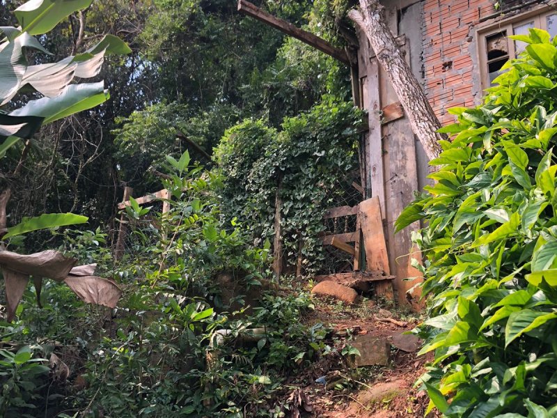 Terreno à venda Costeira do Pirajubaé com 12000m² e 1 quarto por R$ 300.000 - 859076007-img-20210827-wa0069.jpg