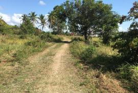 Sítio à venda Centro com 70785m² - 1 dormitório -  vagas - R$ 350.000 - 1339673329-221177247-10216460404301192-3851759666390611297-n.jpg