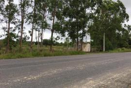 Sítio à venda Centro com 70785m² - 1 dormitório -  vagas - R$ 350.000 - 1360189261-220470372-10216460405101212-9153652419827604824-n.jpg