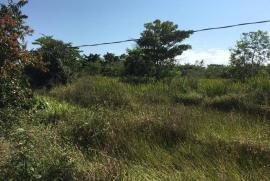 Sítio à venda Centro com 70785m² - 1 dormitório -  vagas - R$ 350.000 - 1909142797-220557241-10216460404501197-8708210138547259786-n.jpg