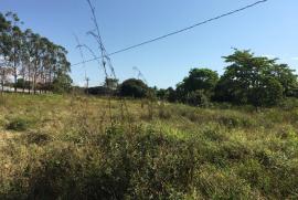 Sítio à venda Centro com 70785m² - 1 dormitório -  vagas - R$ 350.000 - 719084812-217403436-10216460405941233-7090411024630258406-n.jpg