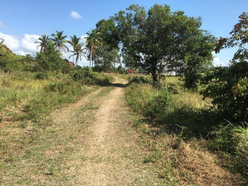 Sítio à venda Centro com 70785m² e 1 quarto por R$ 350.000 - 1339673329-221177247-10216460404301192-3851759666390611297-n.jpg