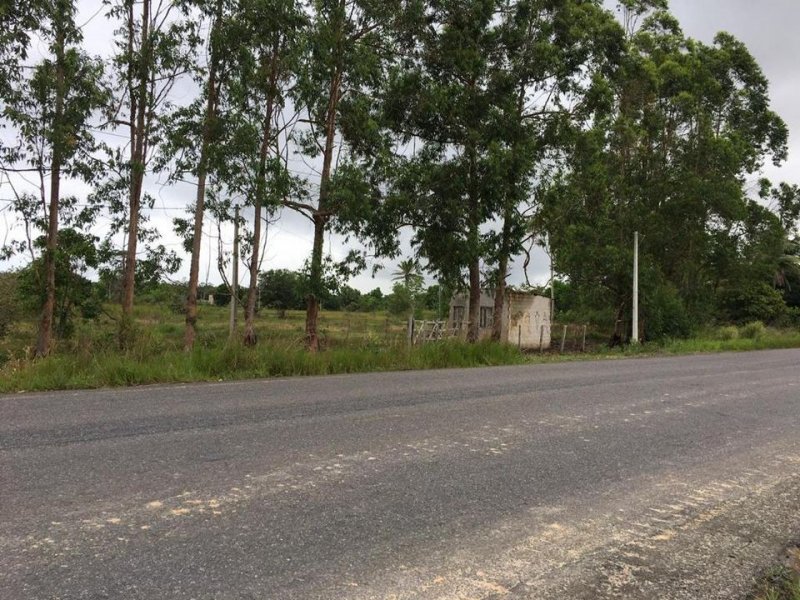 Sítio à venda Centro com 70785m² e 1 quarto por R$ 350.000 - 1360189261-220470372-10216460405101212-9153652419827604824-n.jpg