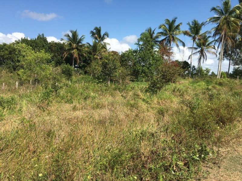 Sítio à venda Centro com 70785m² e 1 quarto por R$ 350.000 - 1391281777-221009825-10216460405301217-4086126416163984027-n.jpg