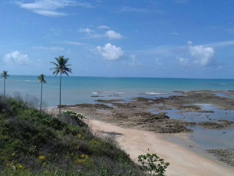 Sítio à venda Centro com 70785m² e 1 quarto por R$ 350.000 - 1899711590-227853482-2653554404948719-5607346647623344519-n.jpg