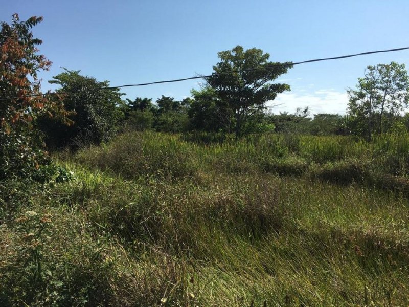 Sítio à venda Centro com 70785m² e 1 quarto por R$ 350.000 - 1909142797-220557241-10216460404501197-8708210138547259786-n.jpg