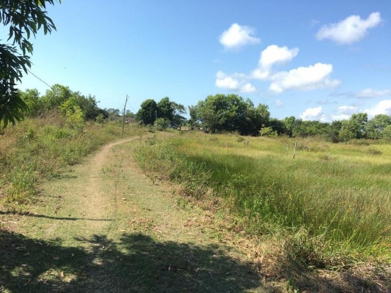 Sítio à venda Centro com 70785m² e 1 quarto por R$ 350.000 - 373190298-220942790-10216460406541248-8046951806675704135-n.jpg