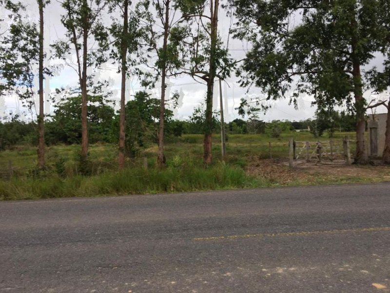 Sítio à venda Centro com 70785m² e 1 quarto por R$ 350.000 - 521511798-220668075-10216460404901207-4777993343194877243-n.jpg