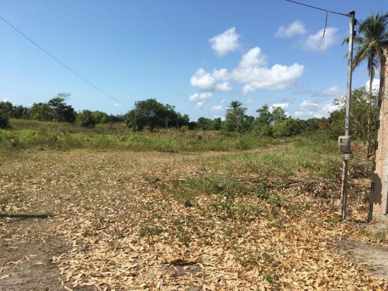 Sítio à venda Centro com 70785m² e 1 quarto por R$ 350.000 - 998176677-220897205-10216460404701202-7749774152420960513-n.jpg