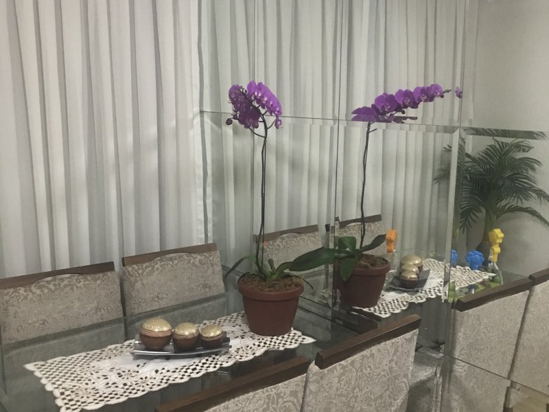 Apartamento à venda Loteamento Parque São Martinho com 50m² e 2 quartos por R$ 320.000 - 1309328211-aca725a0-ce6a-4646-99f7-09cc72352ea6.jpeg
