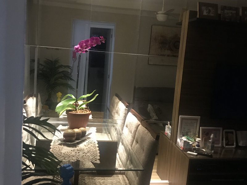 Apartamento à venda Loteamento Parque São Martinho com 50m² e 2 quartos por R$ 320.000 - 2058029133-bdfa611f-e12d-4ad0-b216-c9b304c0bfa9.jpeg
