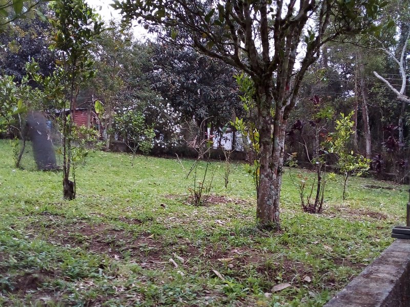 imóvel com 2140m² - Jardim dos Eucaliptos - São Paulo