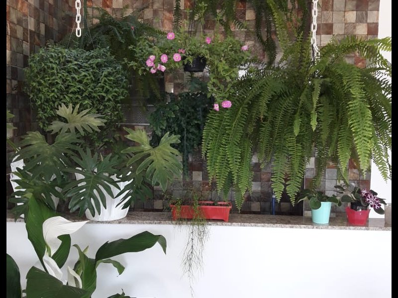 Apartamento à venda Centro com 1080m² e 5 quartos por R$ 2.580.000 - 1643113858-img-20180831-wa0002jpg.jpg