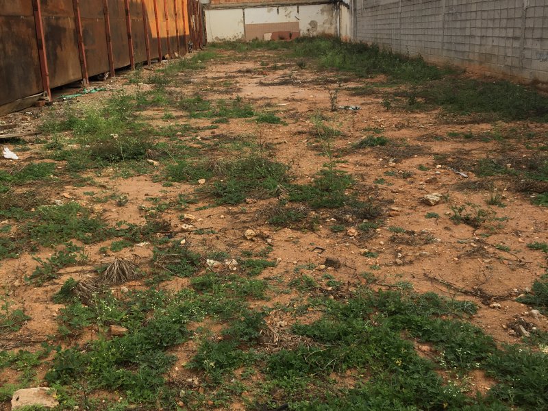 Terreno para alugar Chácaras Reunidas com 500m² e 1 quarto por R$ 2.500 - 1180735320-dbdc90d0-ab2c-43ff-8029-abda75483f88.jpeg