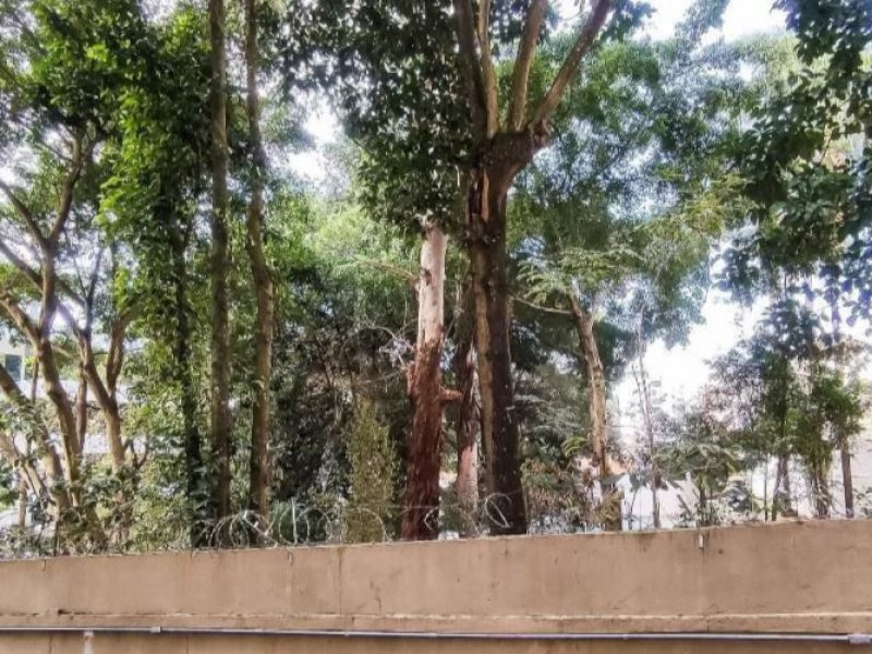 Apartamento à venda Vila Progredior com 78m² e 2 quartos por R$ 520.000 - 876234129-008.JPG