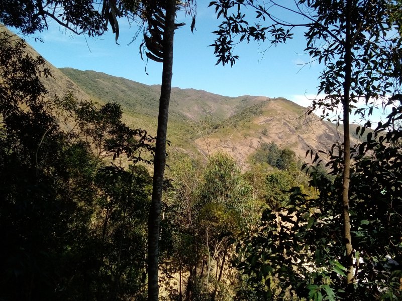 Sítio à venda Araras com 15000m² e 2 quartos por R$ 500.000 - 990819657-20210807-110410.jpg