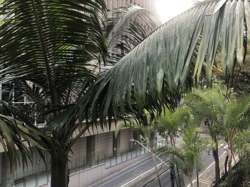 Apartamento à venda Consolação com 52m² e 1 quarto por R$ 599.000 - 718927736-foto-ap-006.jpeg