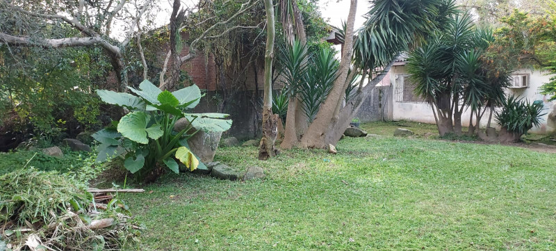Terreno à venda Alegria com 605m² e 1 quarto por R$ 310.000 - 1945464831-img-20221219-wa0005.jpg
