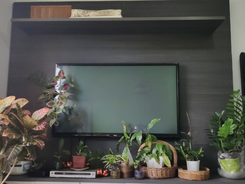 imóvel com 119m² - Embaré - Santos