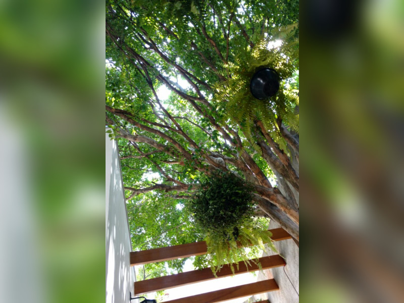 Casa à venda Vila Monumento com 110m² e 2 quartos por R$ 850.000 - screenshot-20210906-230359916-1.jpg