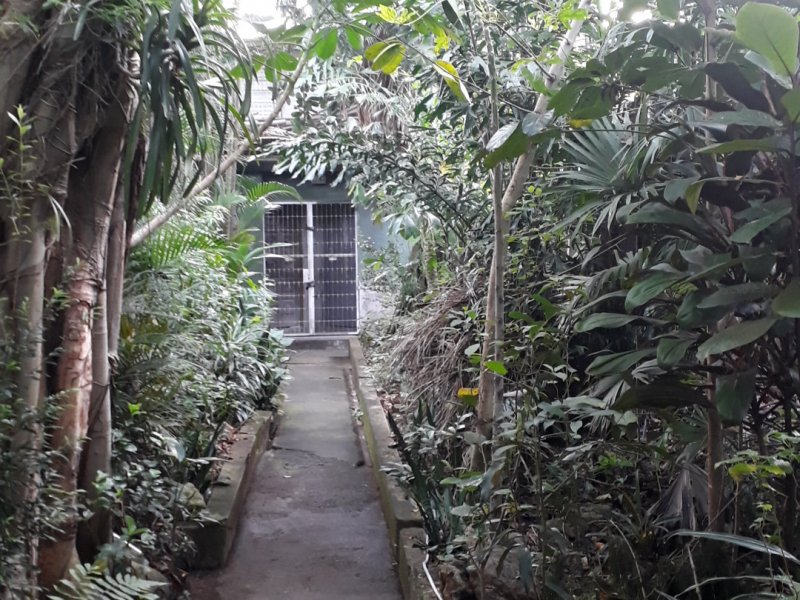 Comercial à venda Vila Nossa Sra. de Fatima com 150m² e 1 quarto por R$ 350.000 - 1682743435-img-20210110-wa0010.jpeg