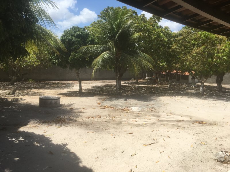 Sítio à venda Centro com 4319m² e 3 quartos por R$ 850.000 - 789005593-img-1660.JPG