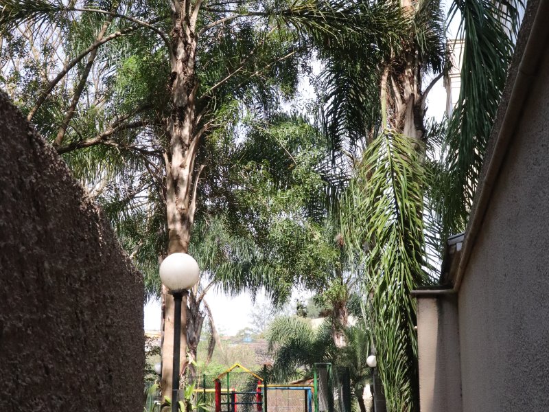 imóvel com 46m² - Jardim Paris - São Paulo
