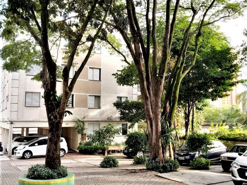 Apartamento à venda Morumbi com 53m² e 3 quartos por R$ 370.000 - 590945307-garagem-amplo.jpg
