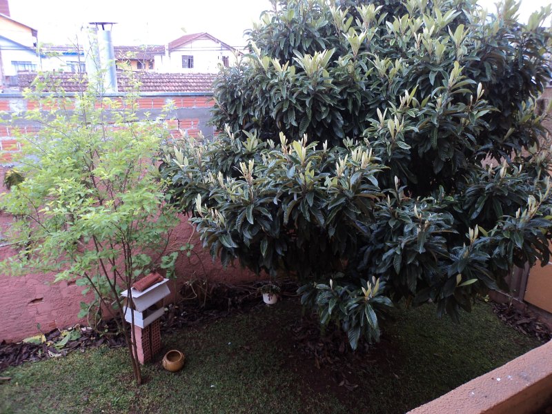 Apartamento à venda Cidade Industrial com 43m² e 2 quartos por R$ 110.000 - 927179438-area-verde.JPG