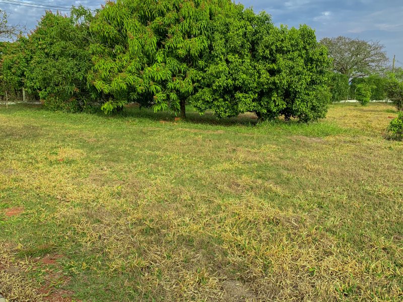 Terreno à venda AZ com 448m² e 1 quarto por R$ 177.900 - 1965458754-0a4c8046-10d1-46b6-aec8-5f4449e445a7.jpeg