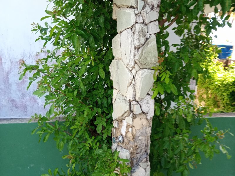 Apartamento à venda Pau Amarelo com 200m² e 4 quartos por R$ 240.000 - 437964064-20211125-084207.jpg