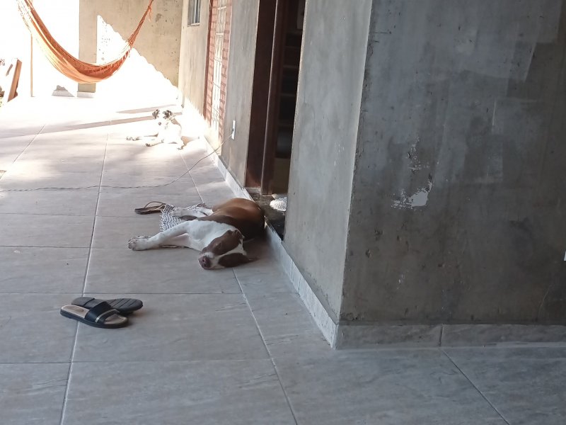 Casa de condomínio à venda Bairro Nova Califórnia com 500m² e 3 quartos por R$ 230.000 - 257543130-img-20210707-wa0077.jpeg