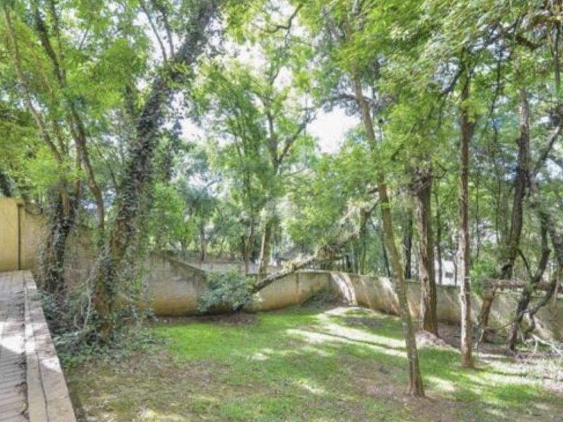 Apartamento à venda Roça Grande com 57m² e 2 quartos por R$ 158 - 883021963-13a0278c-ae07-41a9-8cfa-4d6e8e4e90f0.jpeg