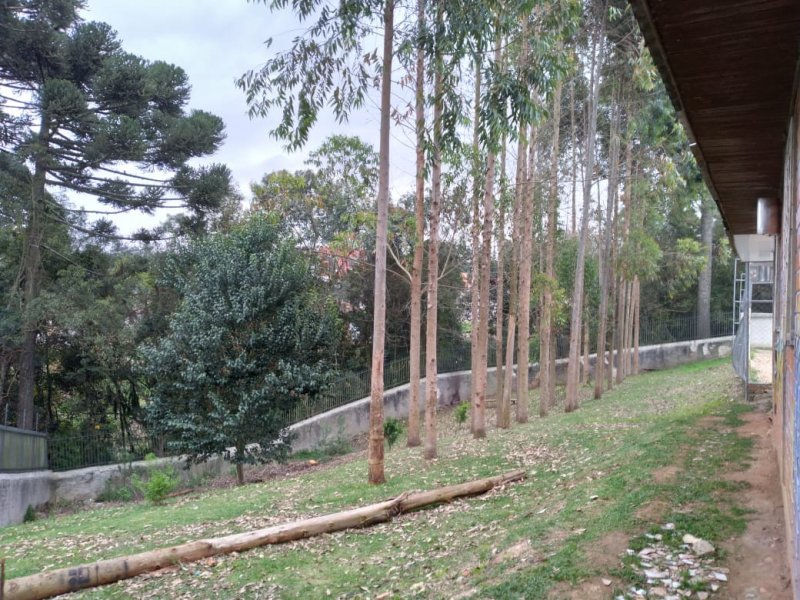 Apartamento à venda São Pedro com 48m² e 2 quartos por R$ 150.000 - 1732922466-img-20210911-wa0024-copiar.jpg