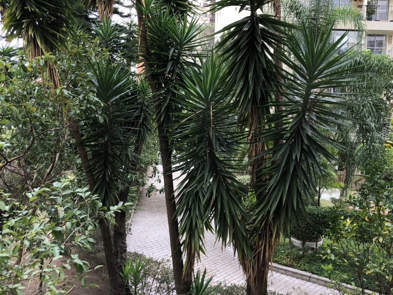 Apartamento à venda Vila Regente Feijó com 60m² e 2 quartos por R$ 600.000 - 196909475-c224ae00-3163-405f-a8bd-f1dd9573f1ca.jpeg