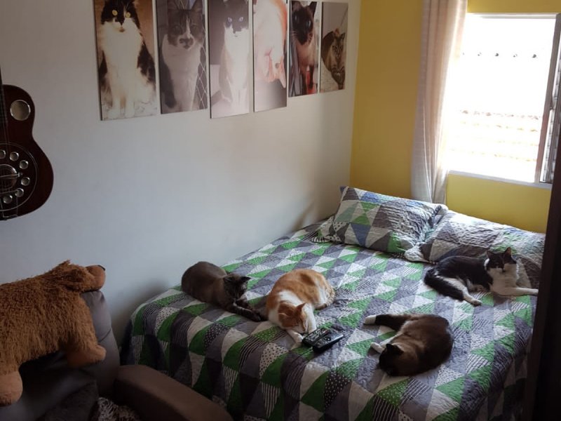 Apartamento à venda Lapa com 75m² e 2 quartos por R$ 430.000 - 1597004143-img-20210912-wa0019.jpg