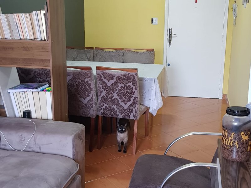 Apartamento à venda Lapa com 75m² e 2 quartos por R$ 430.000 - 2047820442-img-20210912-wa0010.jpg