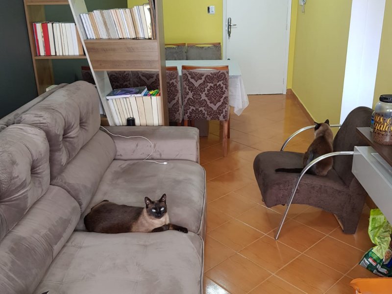 Apartamento à venda Lapa com 75m² e 2 quartos por R$ 430.000 - 455013733-img-20210912-wa0041.jpg