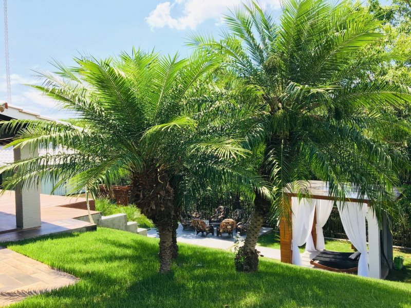 imóvel com 2100m² - Centro - Itá