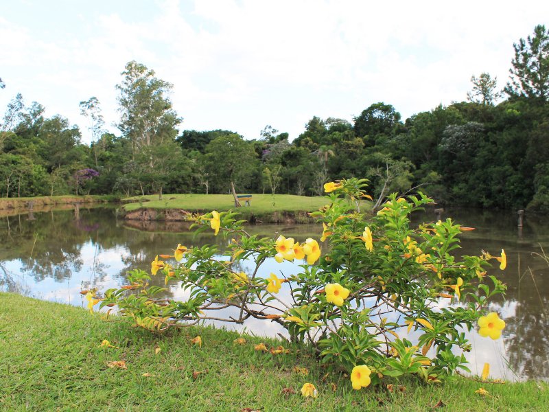 imóvel com 2500m² - Campestre - São Leopoldo