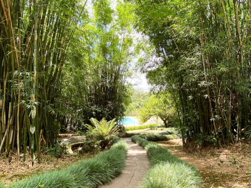 imóvel com 2500m² - Campestre - São Leopoldo