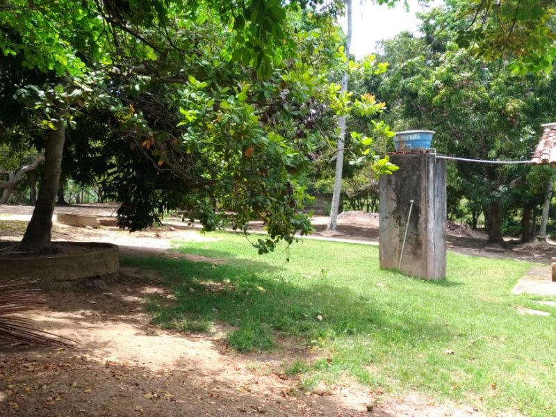 Terreno à venda Centro com 300m² e 1 quarto por R$ 45.000 - 1323376813-img-20190708-wa0020.jpg