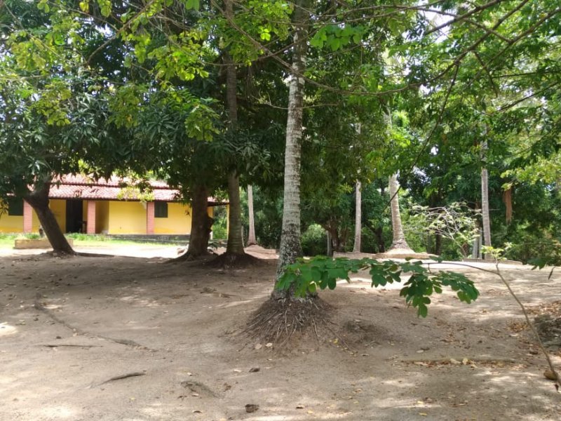 Terreno à venda Centro com 300m² e 1 quarto por R$ 45.000 - 1675271120-img-20190708-wa0022-1.jpg