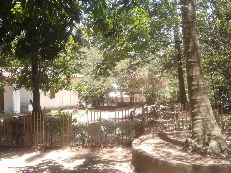 Terreno à venda Centro com 300m² e 1 quarto por R$ 45.000 - 522473776-20151107-105049.jpg