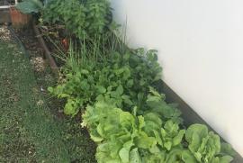 Casa de condomínio à venda Vargem Pequena com 235m² - 4 dormitórios -  vagas - R$ 1.700.000 - 1866184183-fbd9d46b-23a0-4bbd-be5b-8ef85469b2ac.jpeg