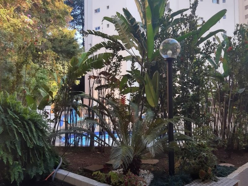 Apartamento à venda Centro com 72m² e 3 quartos por R$ 470.000 - 488621890-1931ba4e-f22d-416a-853a-1f35bf94d338.jpeg