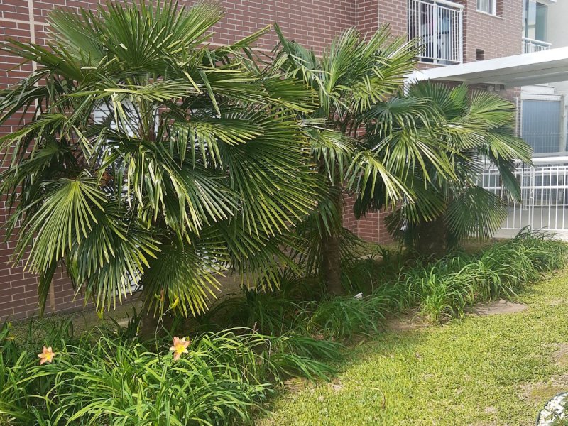 Apartamento à venda Fanny com 60m² e 2 quartos por R$ 349.900 - 205490219-img-20210913-140125090.jpg