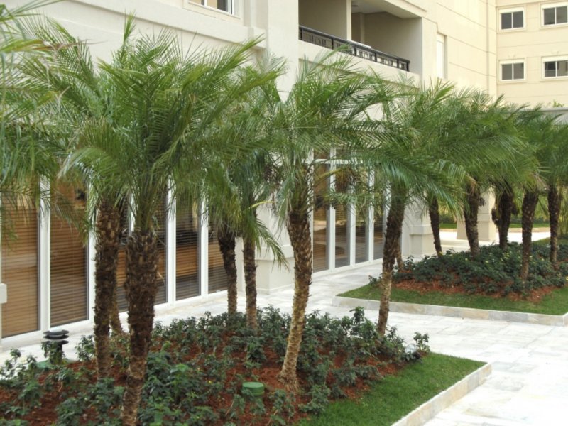 Apartamento à venda Mooca com 84600m² e 3 quartos por R$ 750.000 - 399729254-1c314c8c-e323-4adc-a805-08d48e60770d.jpeg
