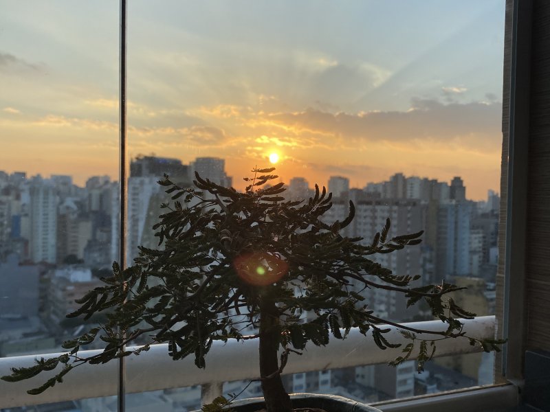 Loft à venda Bela Vista com 60m² e 1 quarto por R$ 725.000 - 1796408494-6d4f7e03-2dc3-4fd9-8f7b-9f399cfb5cbc.jpeg